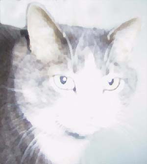 Charlie