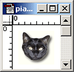 Pia