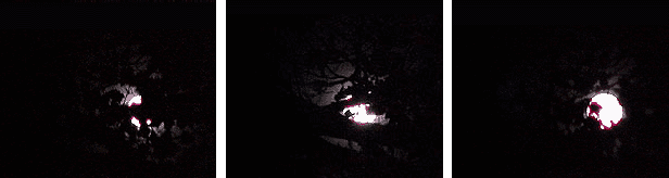 blue moon on halloween, 2001